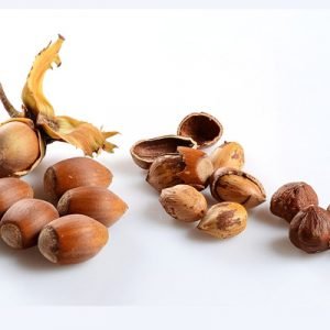 HAZELNUTS