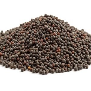 MUSTARD SEEDS