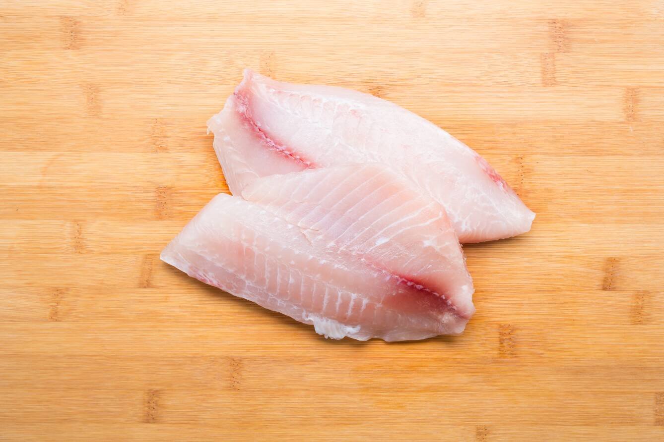 Tilapia